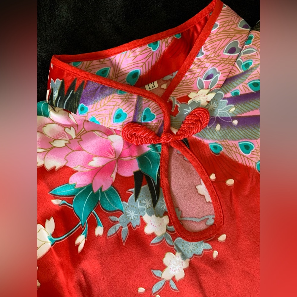👧 NWT Girl’s Exotic Dress (Japanese/Chinese Style)